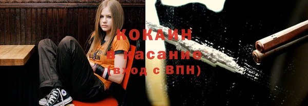 мескалин Ладушкин