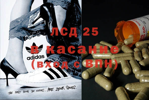 мескалин Ладушкин