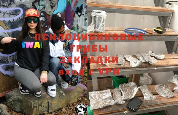 мескалин Ладушкин